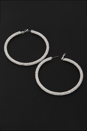 Microdetail Hoop Earrings