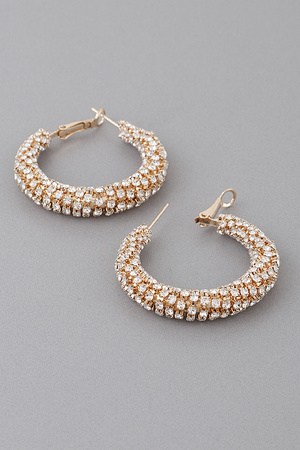 Small Rhinestone Embellished Hoop Earrings
