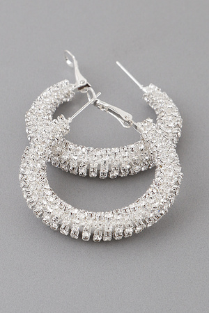 Small Rhinestone Embellished Hoop Earrings