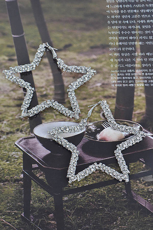 Big Star Glitter Earring.