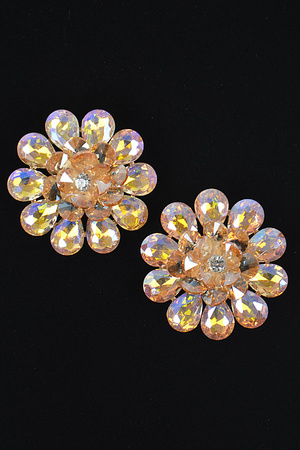 Rhinestone Studded Earring