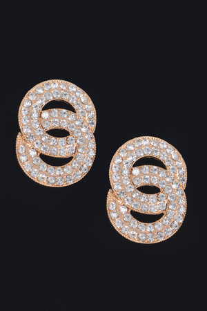 Link Circle Rhinestone Earrings