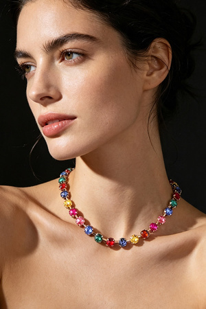 Multi Bejeweled Rhinestone Choker Necklace