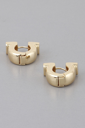 Omega Hoop Earrings