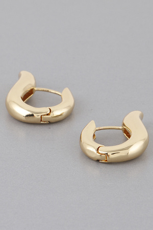 Shiny Harp Hoop Earrings