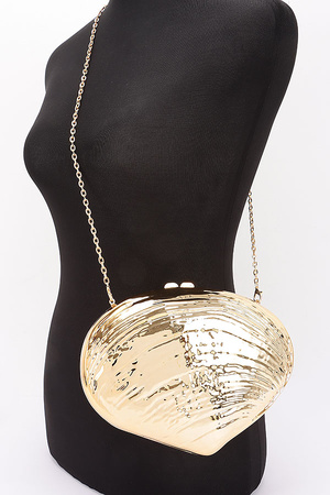 Metallic Acrylic Clutch