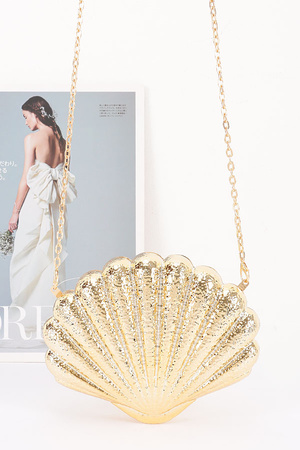 Metallic Acrylic Party Clutch