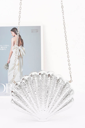 Metallic Acrylic Party Clutch