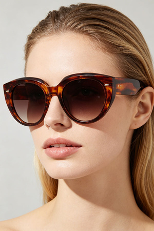 Double Bolted Tortoise Wayfarer Sunglasses