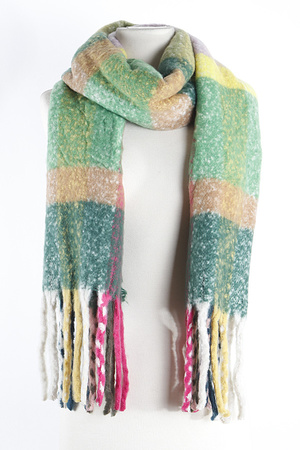 Bright Color Fringed Scarf