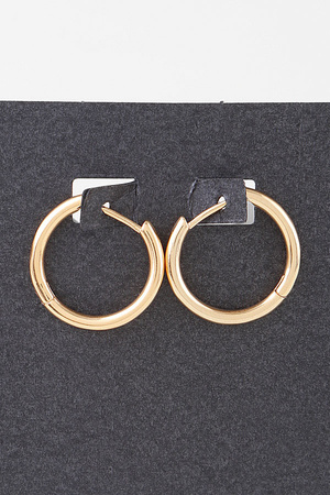Minimal Shiny Clasp Earrings