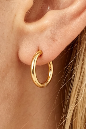 Minimal Shiny Clasp Earrings