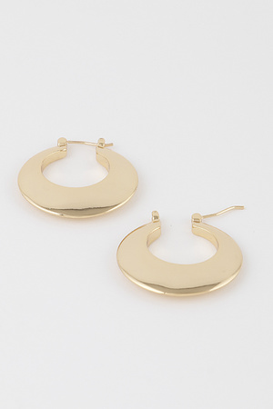 Classic Horseshoe Hoop Earrings