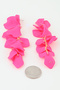 FUSCHIA