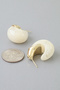 GOLD IVORY